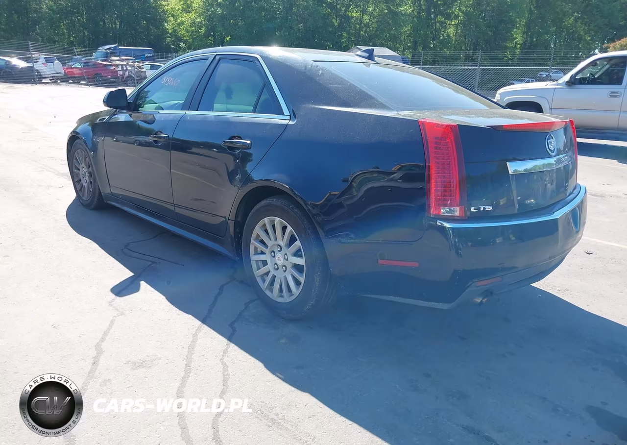 2011 Cadillac Cts Luxury VIN:1G6DE5EY3B0157168 - 3