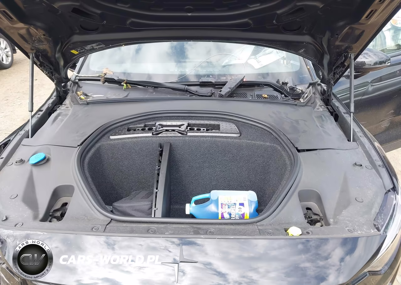2024 Polestar 2 Long Range Dual Motor-Long Range Dual Motor Plus VIN:YSMFD3KAXRL210708 - 10