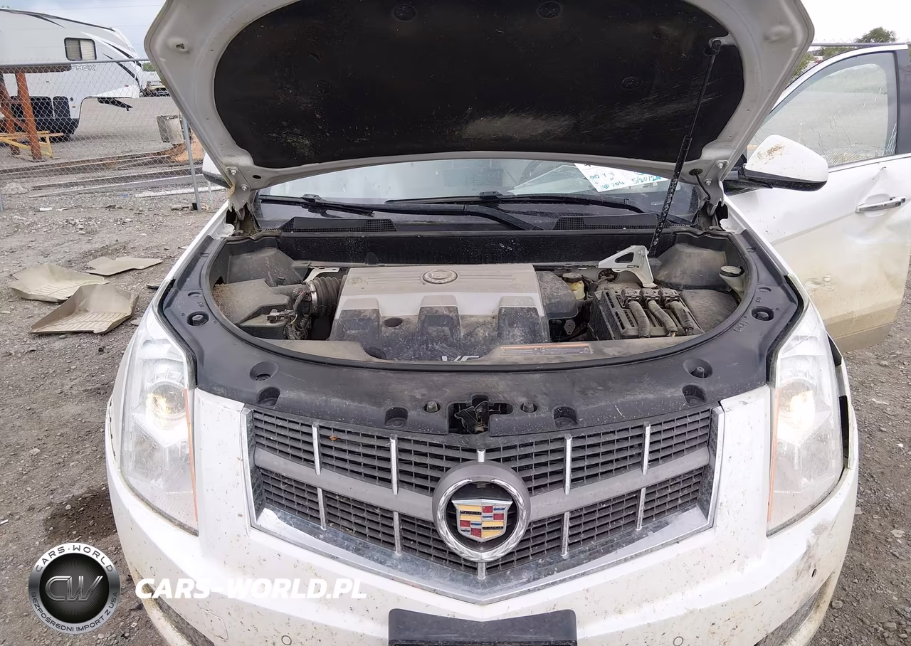 2010 Cadillac Srx Luxury Collection VIN:3GYFNDEY4AS642307 - 10