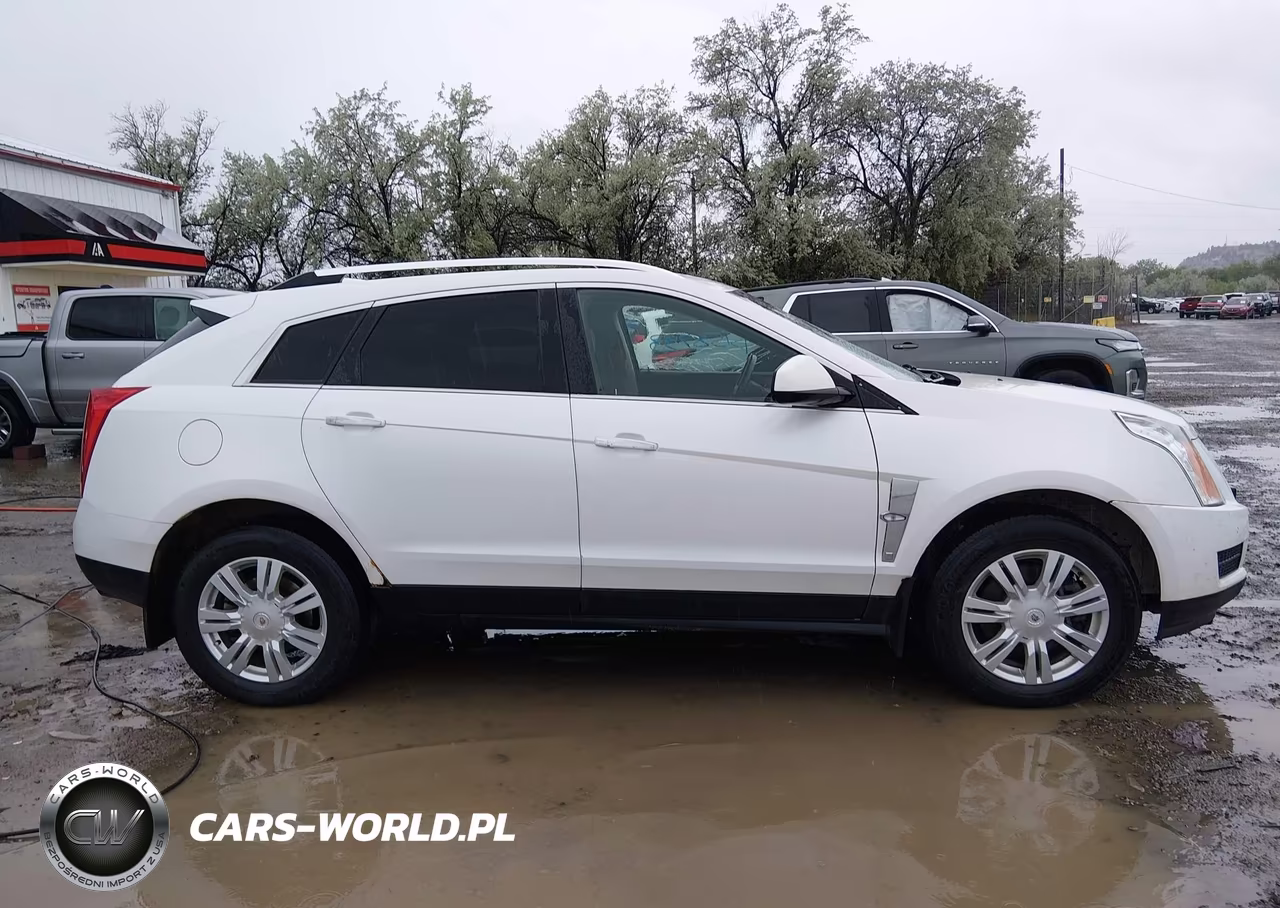 2010 Cadillac Srx Luxury Collection VIN:3GYFNDEY4AS642307 - 13