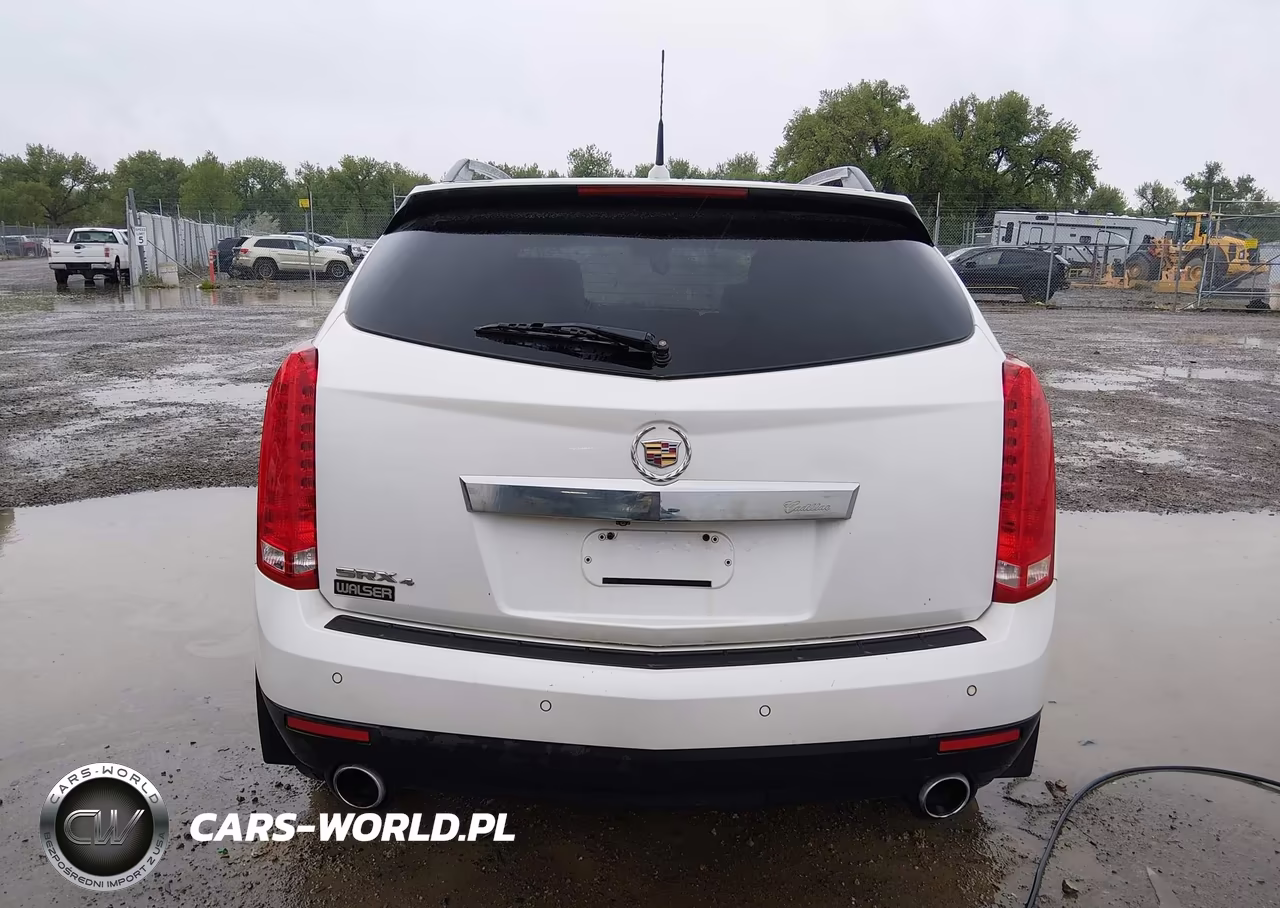 2010 Cadillac Srx Luxury Collection VIN:3GYFNDEY4AS642307 - 16