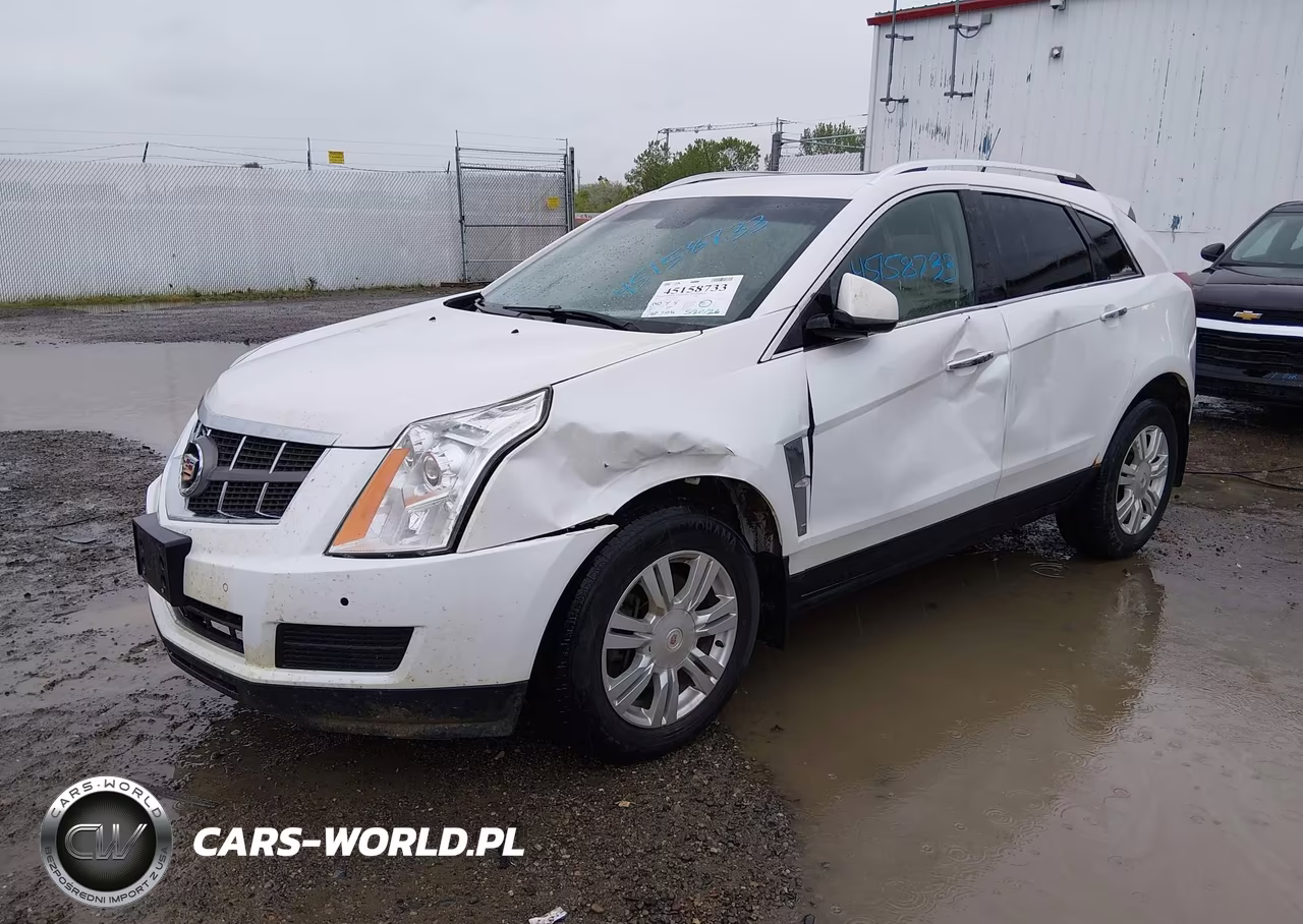 2010 Cadillac Srx Luxury Collection VIN:3GYFNDEY4AS642307 - 2