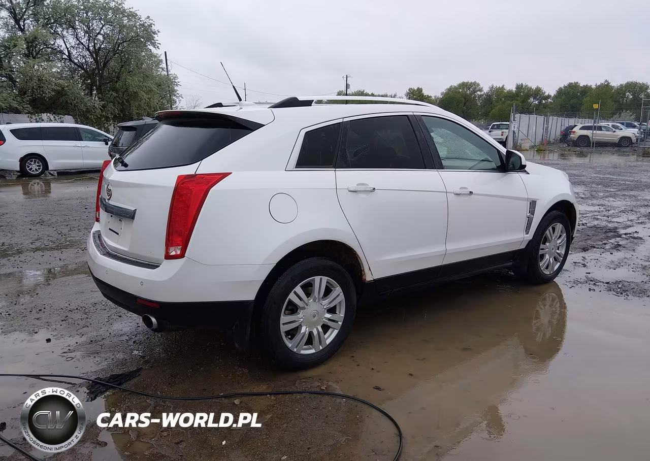 2010 Cadillac Srx Luxury Collection VIN:3GYFNDEY4AS642307 - 4