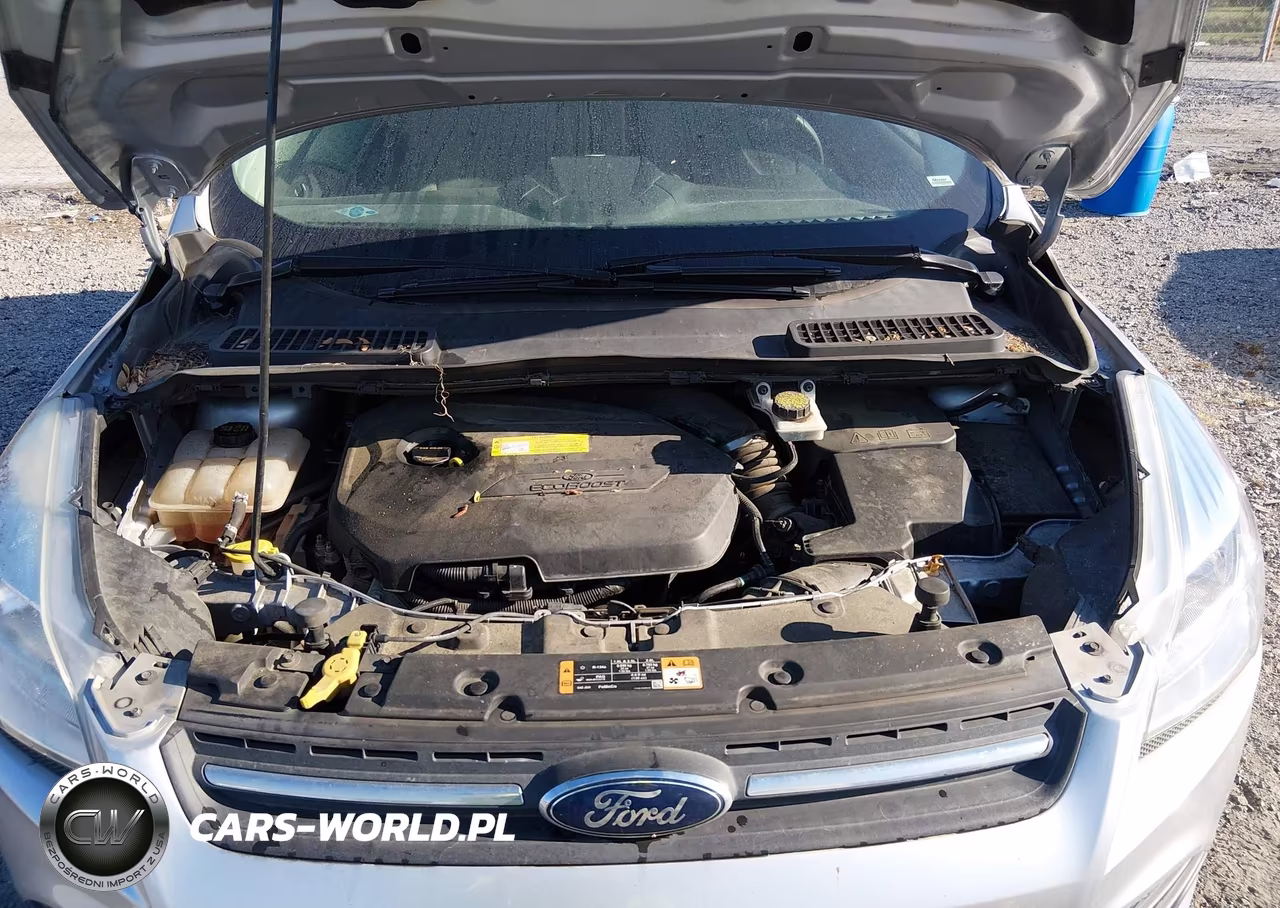 2016 Ford Escape Se VIN:1FMCU0GX4GUC09292 - 10