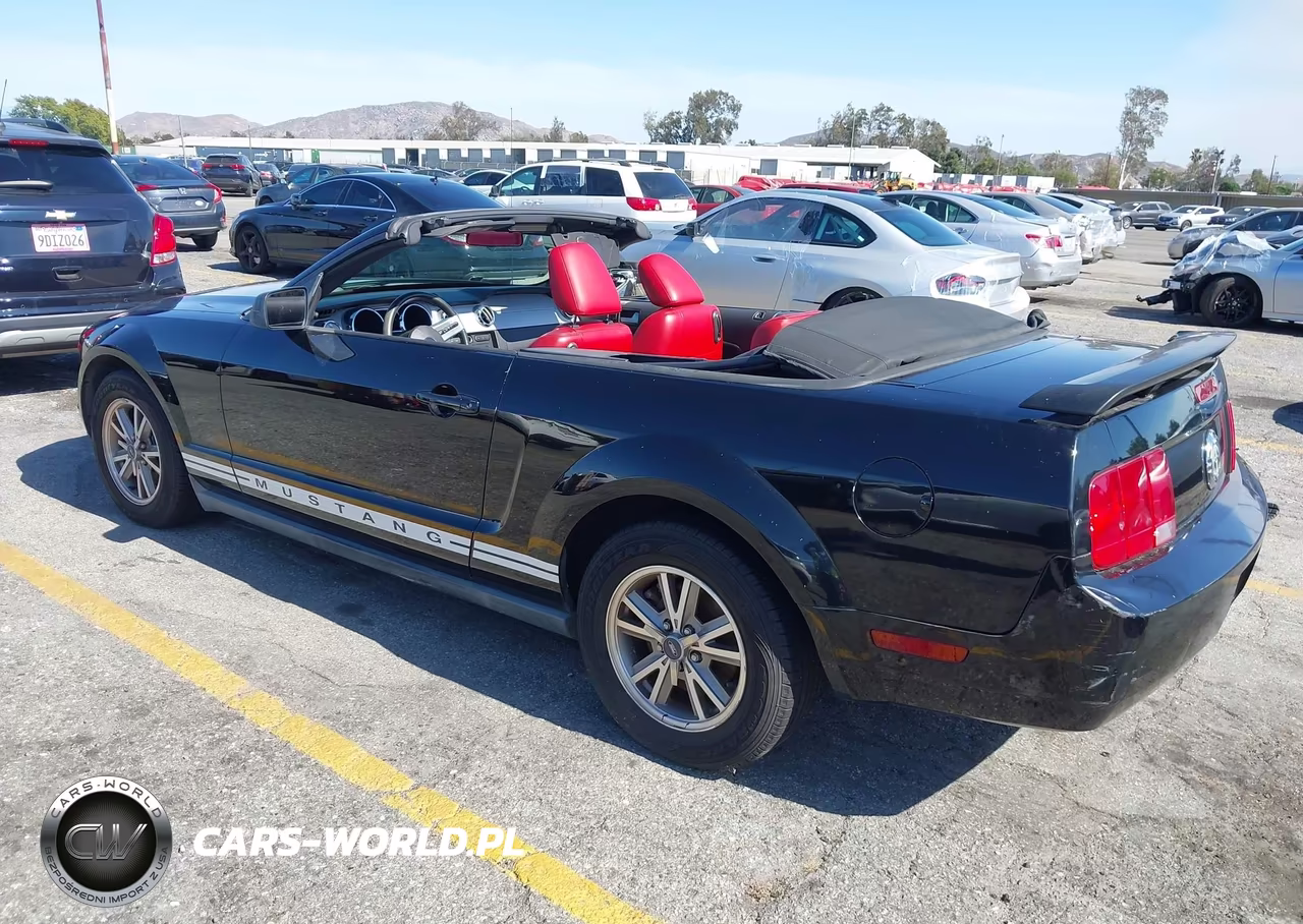 2005 Ford Mustang VIN:1ZVFT84N755227957 - 3