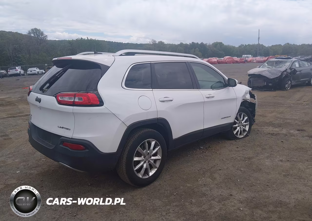 2014 Jeep Cherokee Limited VIN:1C4PJMDB5EW108844 - 4