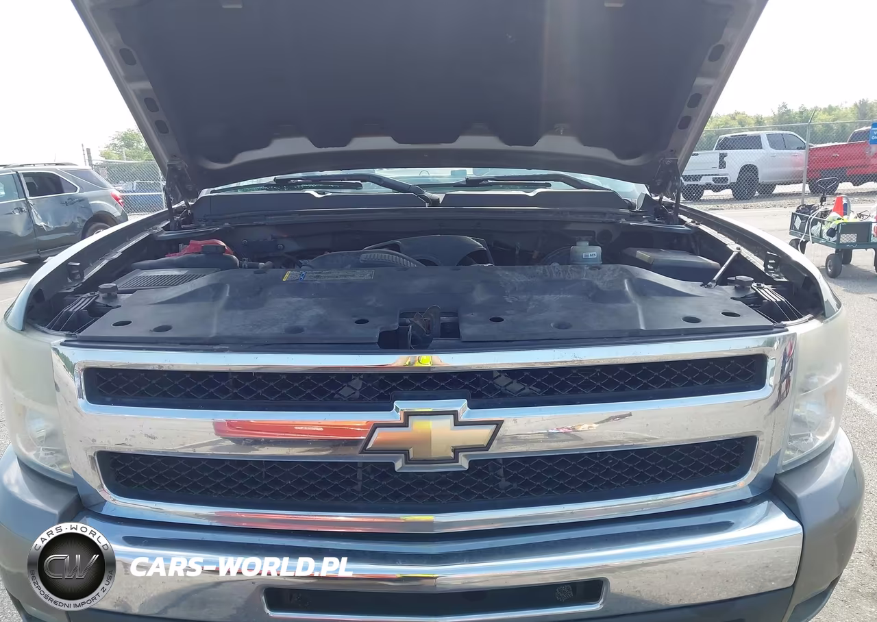 2009 Chevrolet Silverado 1500 Lt VIN:1GCEK29029Z140784 - 10
