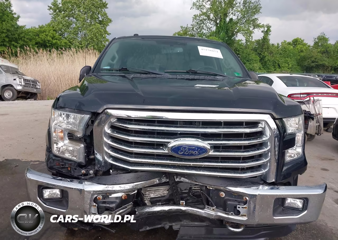 2016 Ford F-150 Xlt VIN:1FTEW1EPXGKE20038 - 13