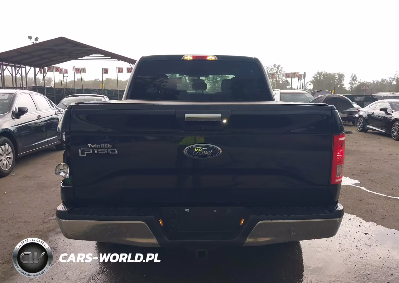 2016 Ford F-150 Xlt VIN:1FTEW1EPXGKE20038 - 17