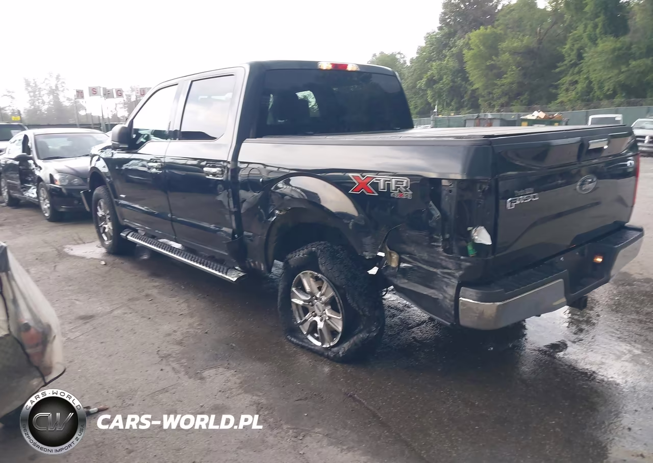 2016 Ford F-150 Xlt VIN:1FTEW1EPXGKE20038 - 3