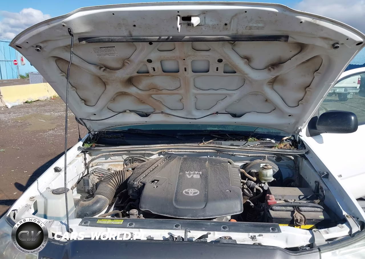 2009 Toyota Tacoma Base V6 VIN:3TMLU42N49M023888 - 10