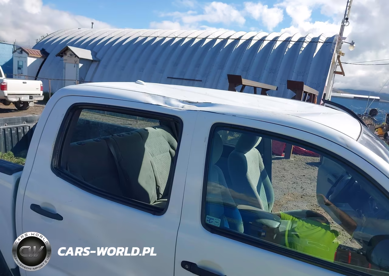 2009 Toyota Tacoma Base V6 VIN:3TMLU42N49M023888 - 6