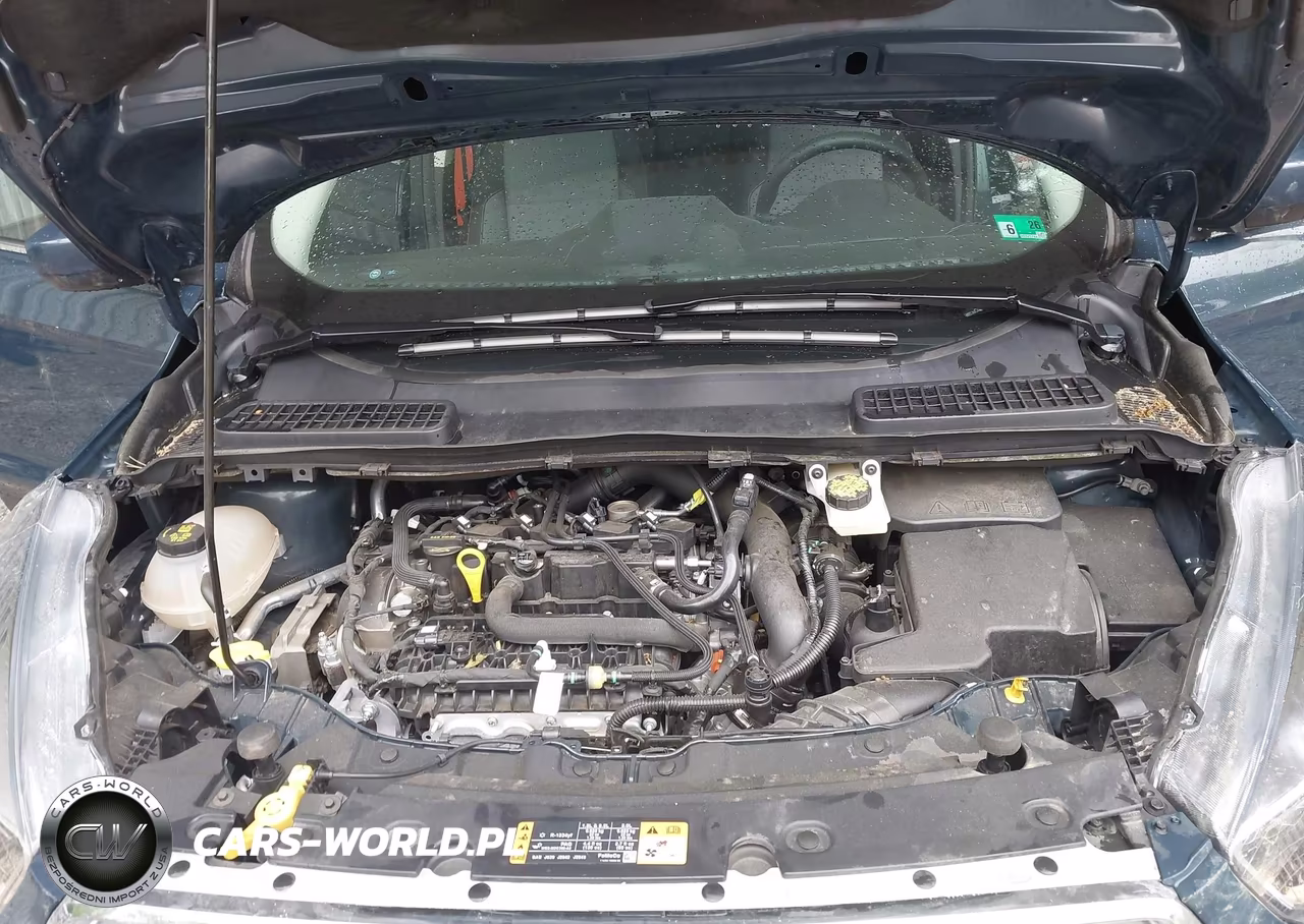 2019 Ford Escape Se VIN:1FMCU0GD4KUB75417 - 10