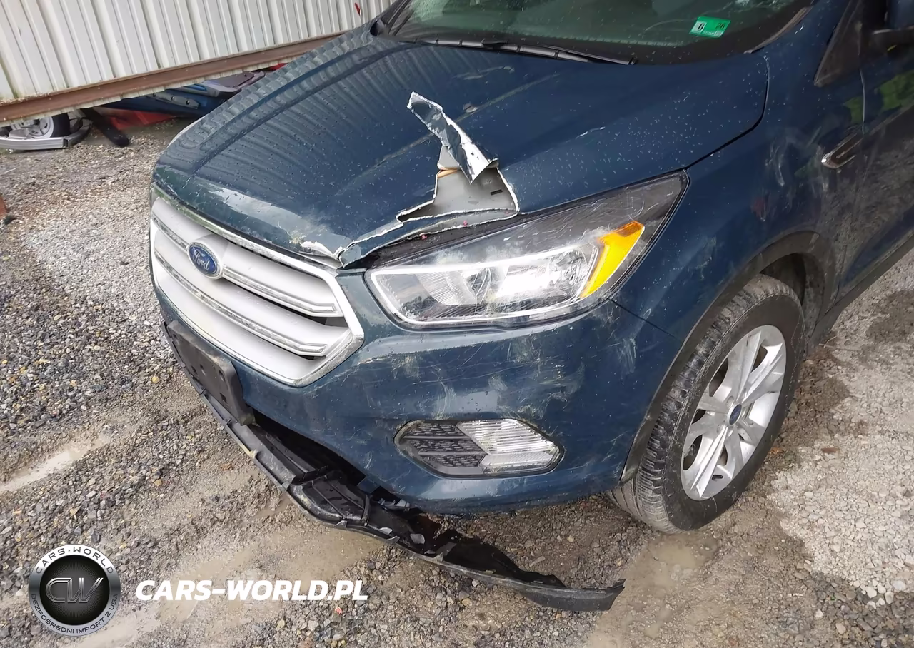2019 Ford Escape Se VIN:1FMCU0GD4KUB75417 - 6