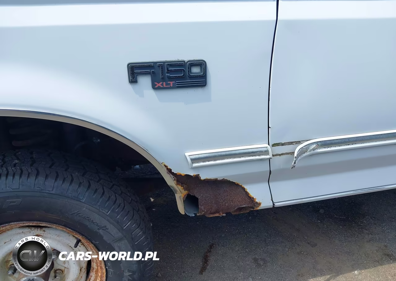 1994 Ford F150 VIN:1FTEF14YXRNA49796 - 6