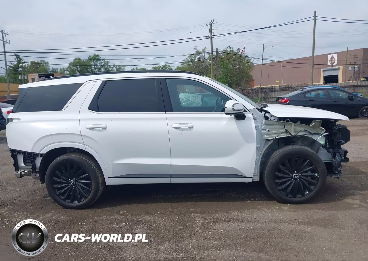 2025 Hyundai Palisade Calligraphy Night Edition VIN:KM8R7DGE0SU927356 - 13