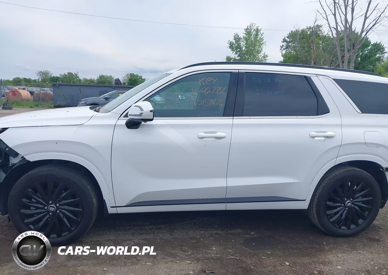 2025 Hyundai Palisade Calligraphy Night Edition VIN:KM8R7DGE0SU927356 - 14