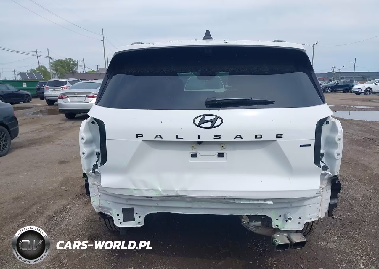 2025 Hyundai Palisade Calligraphy Night Edition VIN:KM8R7DGE0SU927356 - 17