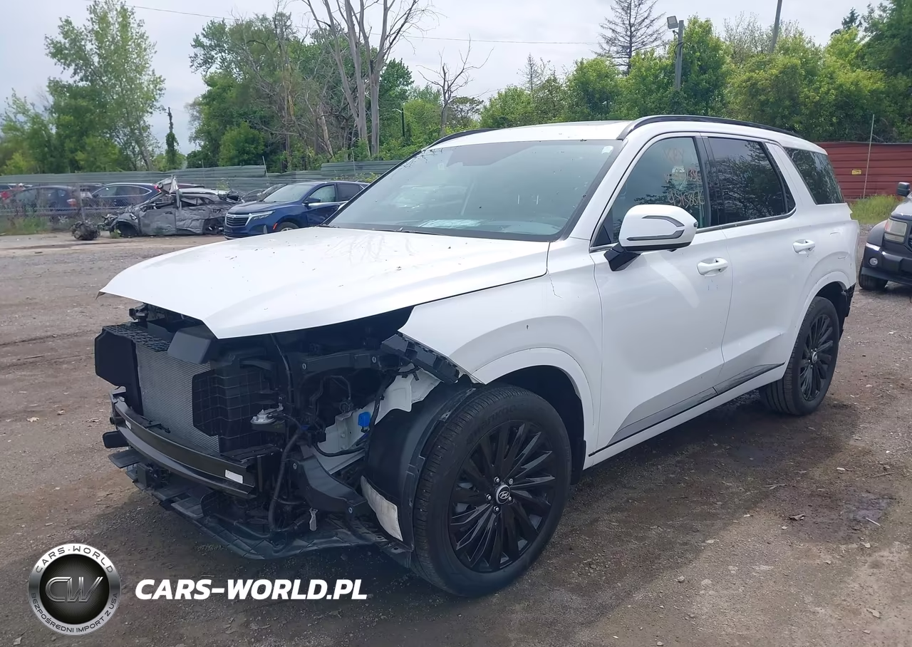 2025 Hyundai Palisade Calligraphy Night Edition VIN:KM8R7DGE0SU927356 - 2