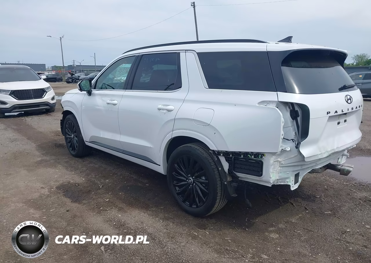 2025 Hyundai Palisade Calligraphy Night Edition VIN:KM8R7DGE0SU927356 - 3