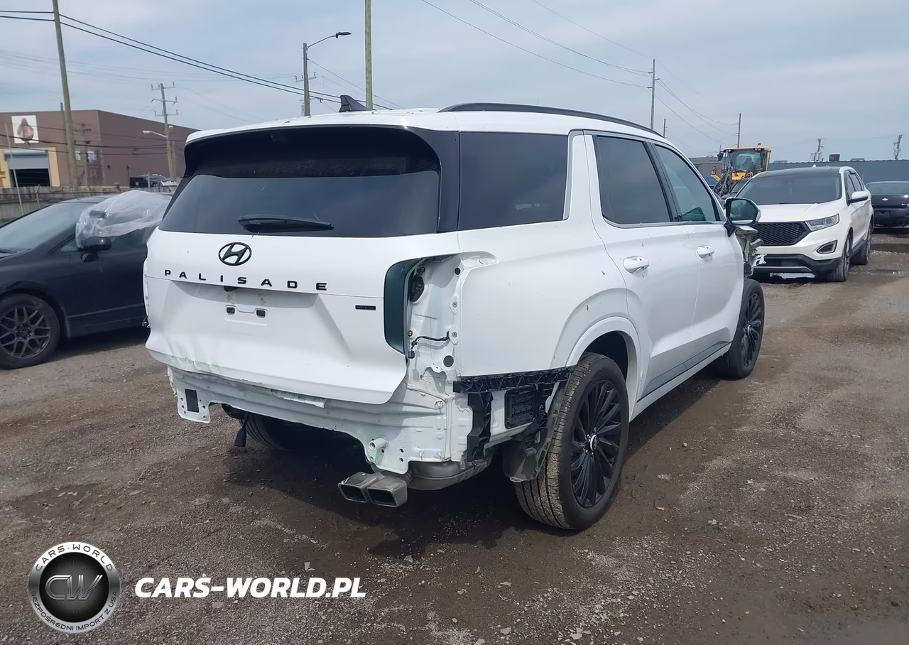 2025 Hyundai Palisade Calligraphy Night Edition VIN:KM8R7DGE0SU927356 - 4