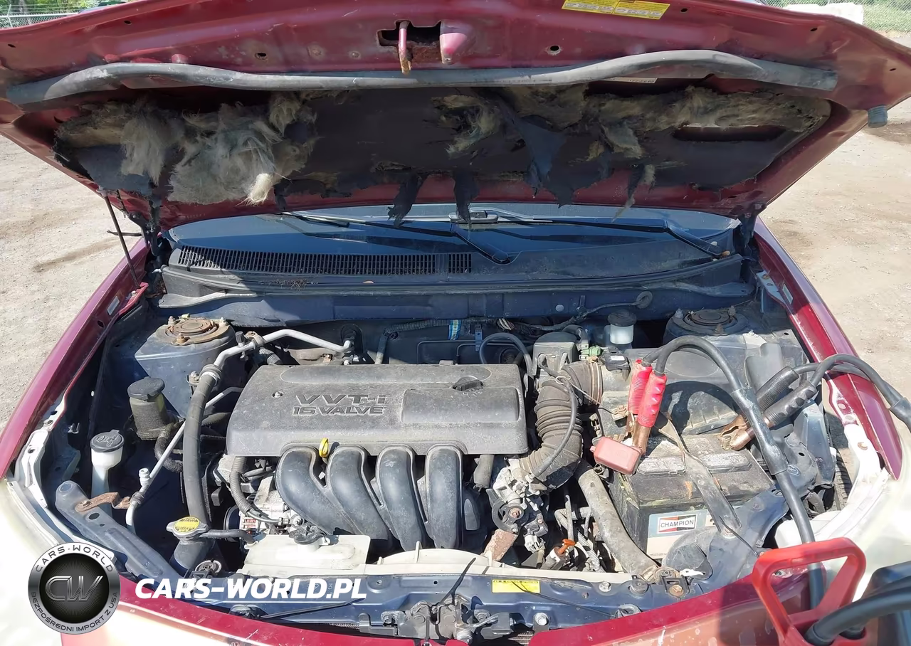 2003 Pontiac Vibe VIN:5Y2SL62883Z451991 - 10