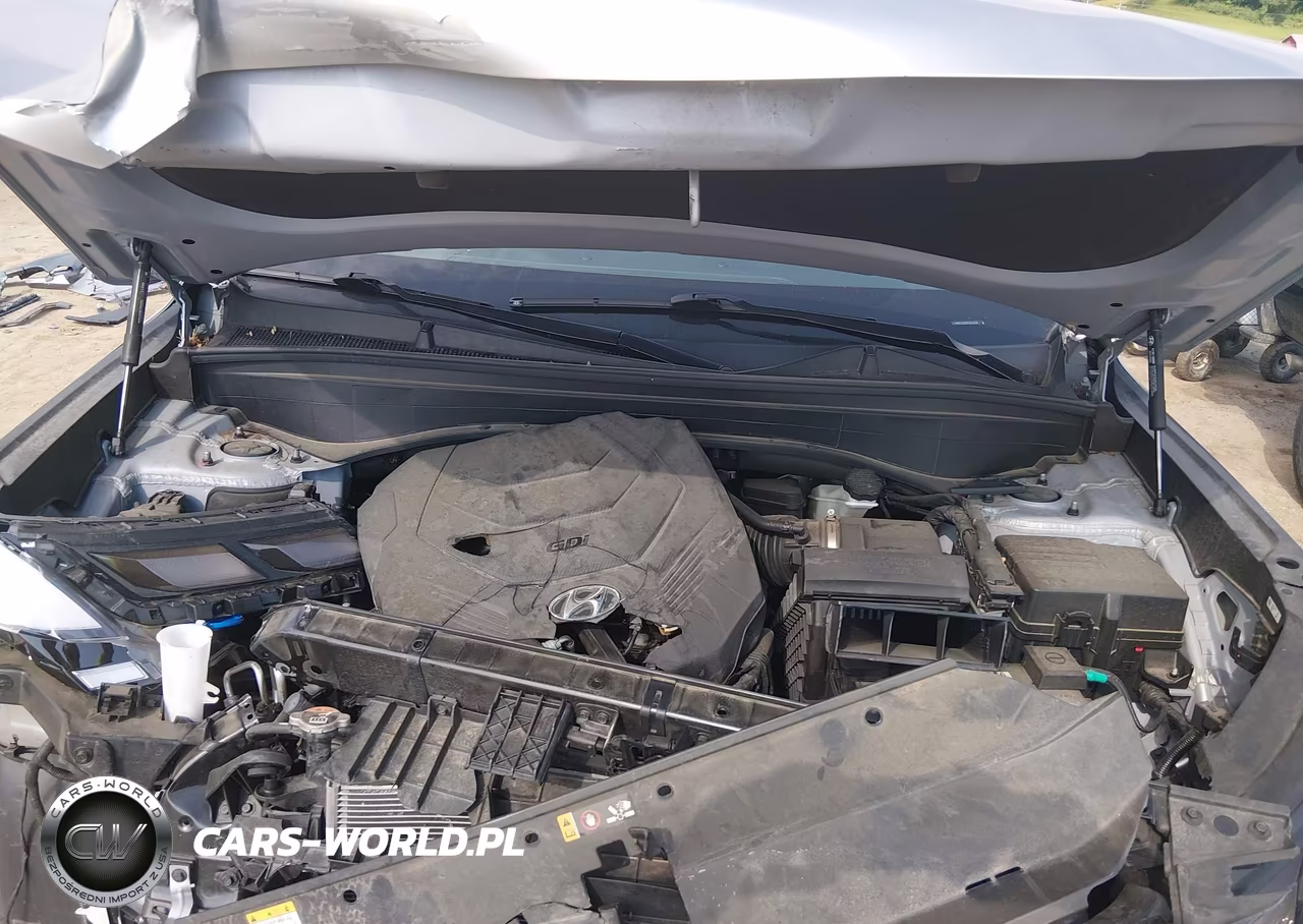 2023 Hyundai Palisade Sel VIN:KM8R2DGE8PU628168 - 10