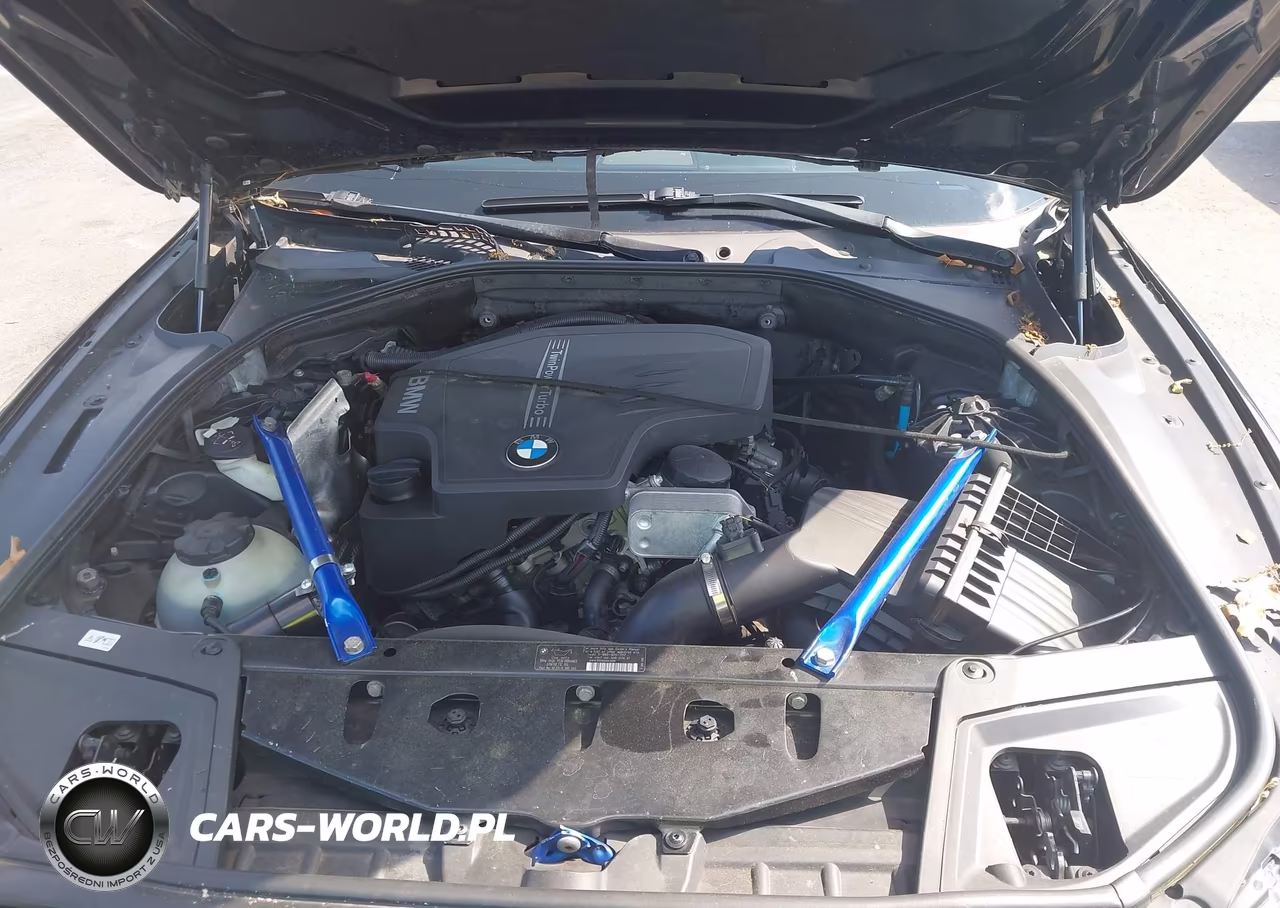 2012 BMW 528I xDrive VIN:WBAXH5C52CDW07202 - 10