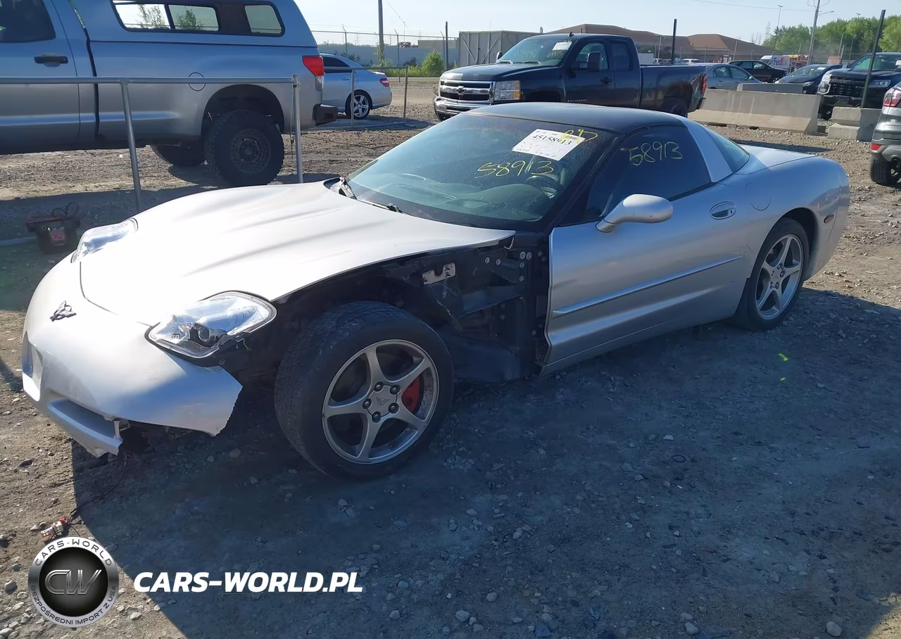 2002 Chevrolet Corvette VIN:1G1YY22G325129124 - 2