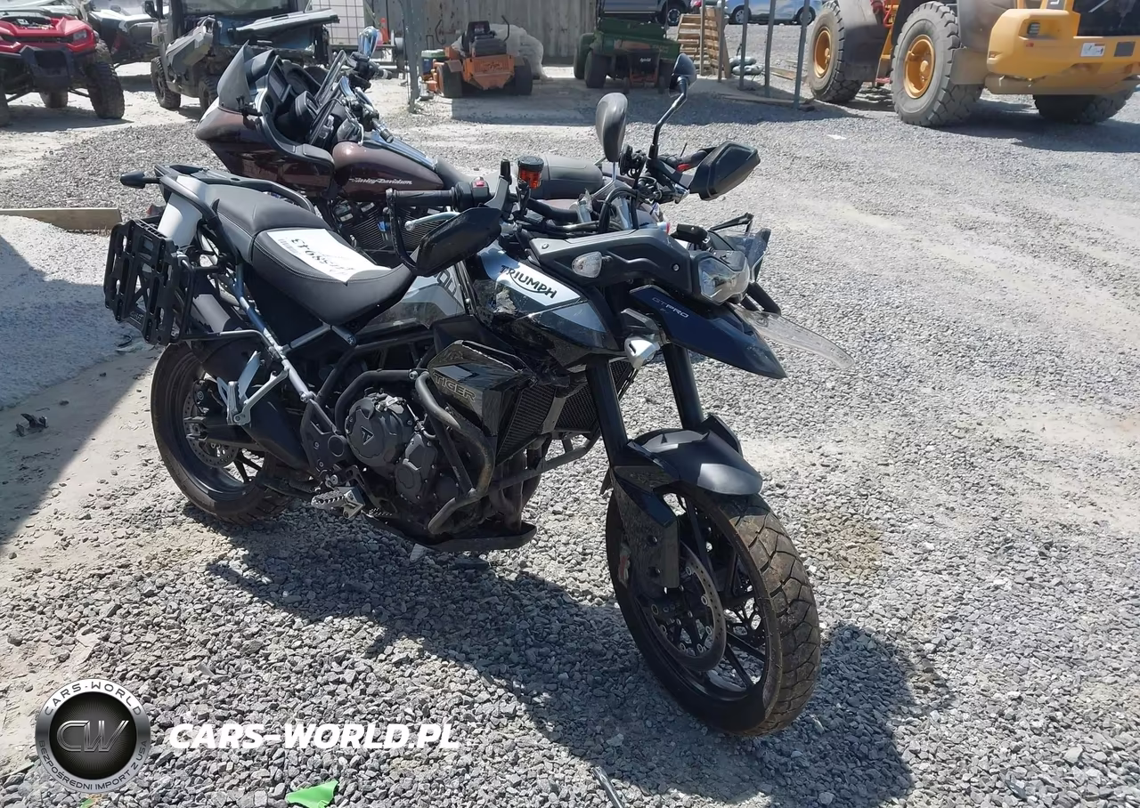 2020 Triumph Motorcycle Tiger 900 Gt Pro