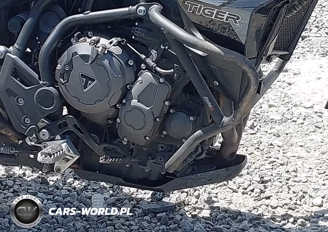 2020 Triumph Motorcycle Tiger 900 Gt Pro VIN:SMTE64DF6LTAA0601 - 8