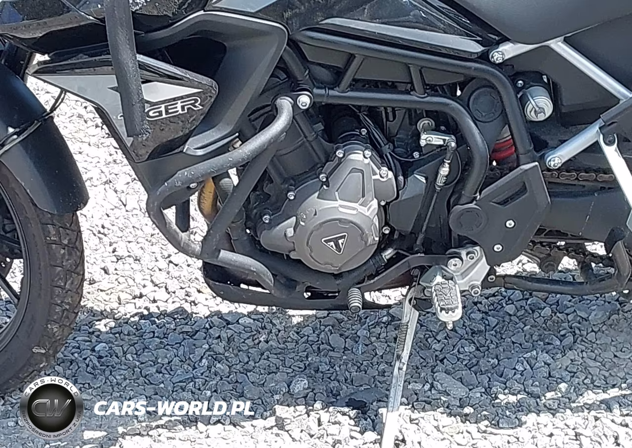 2020 Triumph Motorcycle Tiger 900 Gt Pro VIN:SMTE64DF6LTAA0601 - 9