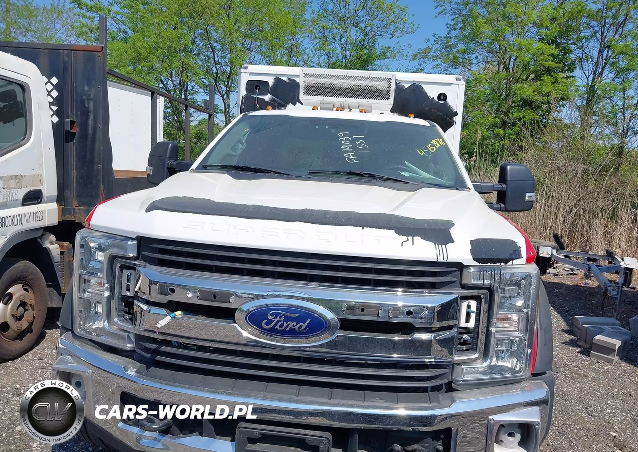 2019 Ford F-550 Chassis Xlt VIN:1FD0X5HT1KEF24556 - 11