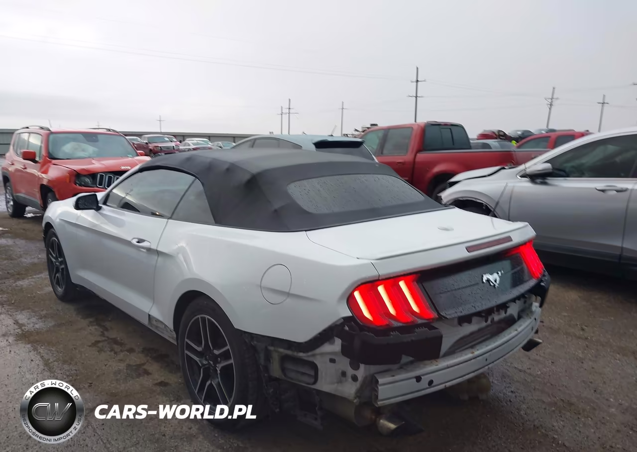 2020 Ford Mustang Ecoboost Premium VIN:1FATP8UH0L5137539 - 3
