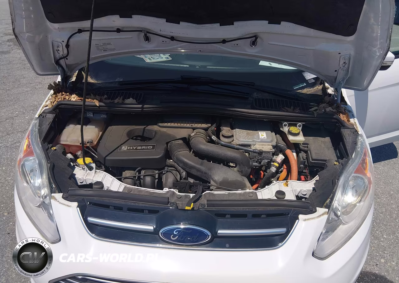 2016 Ford C-Max Hybrid Se VIN:1FADP5AUXGL116249 - 10