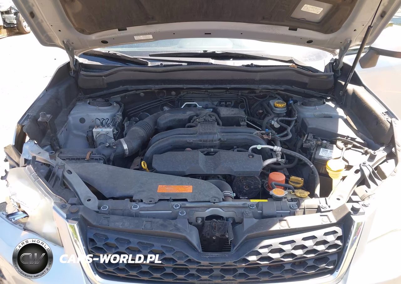 2014 Subaru Forester 2.5I Premium VIN:JF2SJAEC7EH509852 - 10