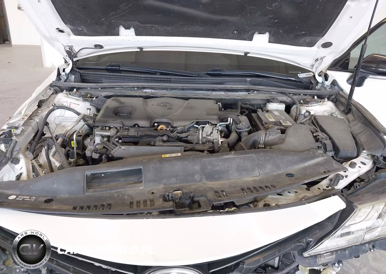 2019 Toyota Camry Xse VIN:4T1B61HK9KU239766 - 10