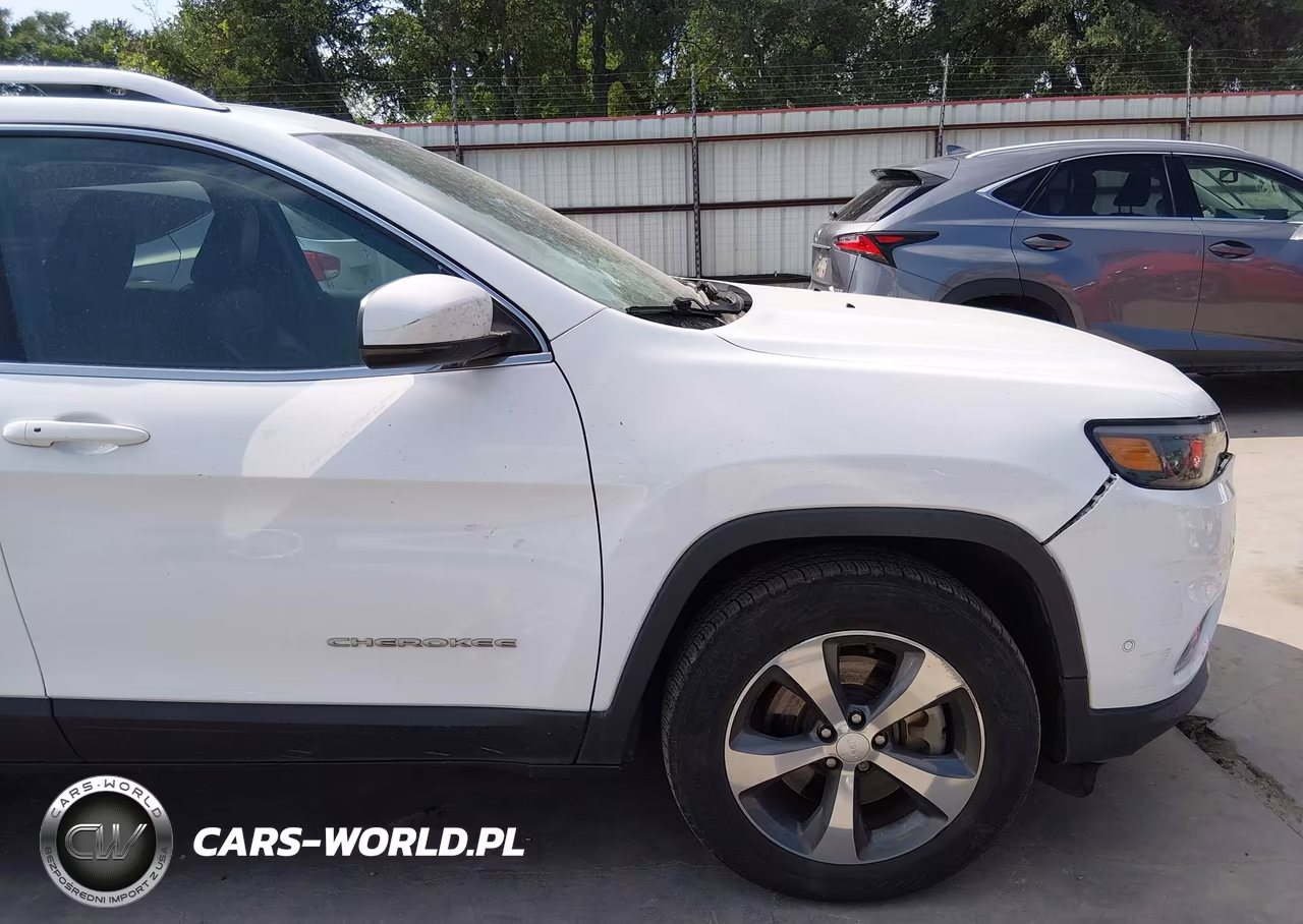 2019 Jeep Cherokee Limited 4X4 VIN:1C4PJMDN3KD124087 - 17