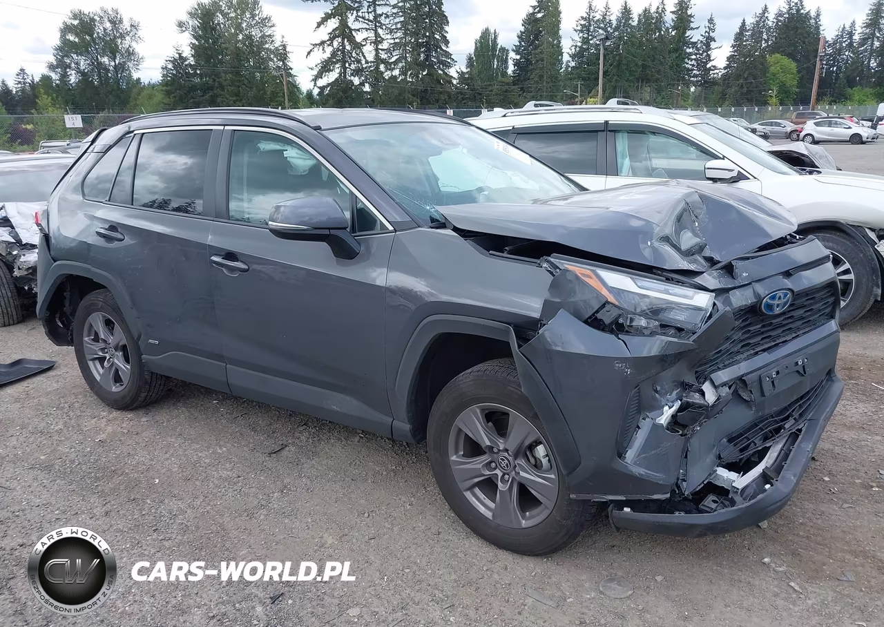 2024 Toyota Rav4 Hybrid Xle VIN:2T3RWRFV5RW209451 - 12