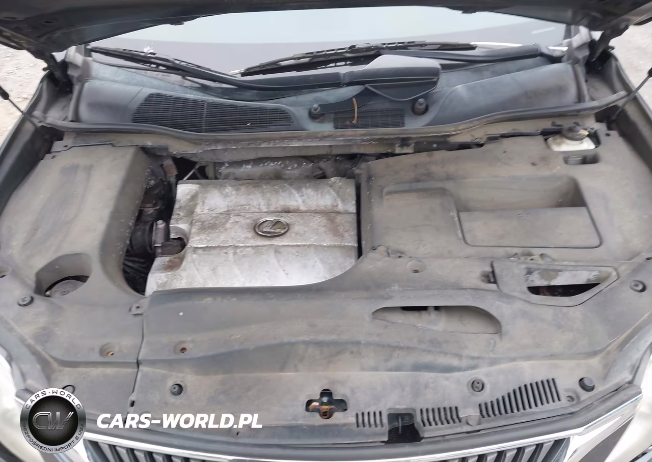 2010 Lexus Rx 350 VIN:2T2BK1BA3AC018669 - 10