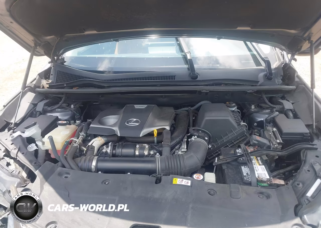 2020 Lexus Nx 300 VIN:JTJAARBZ3L2168030 - 10