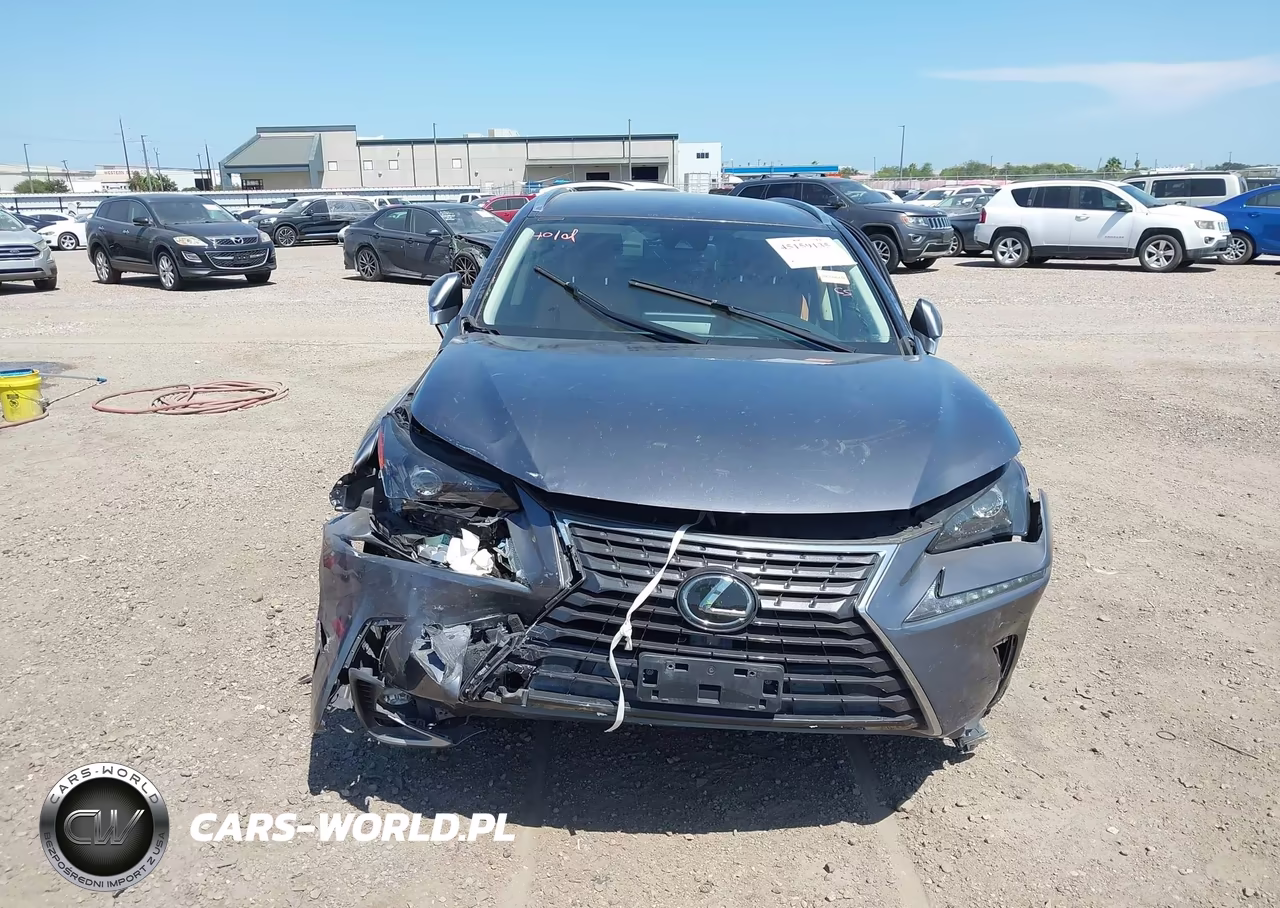 2020 Lexus Nx 300 VIN:JTJAARBZ3L2168030 - 11