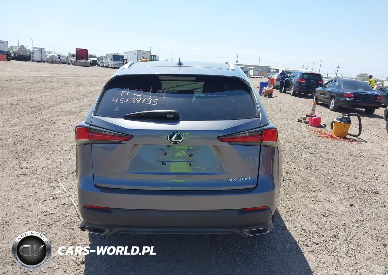 2020 Lexus Nx 300 VIN:JTJAARBZ3L2168030 - 15