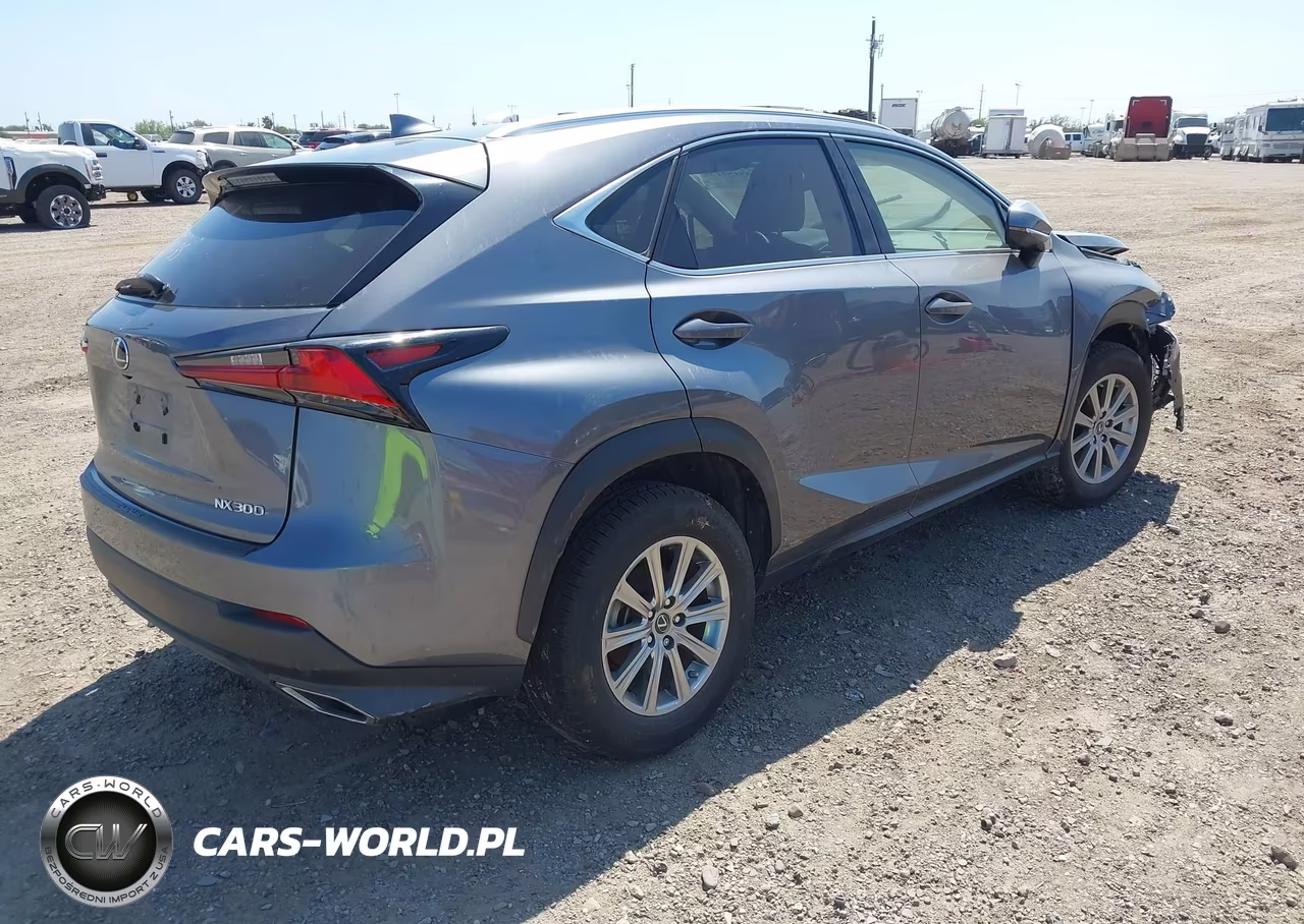 2020 Lexus Nx 300 VIN:JTJAARBZ3L2168030 - 4