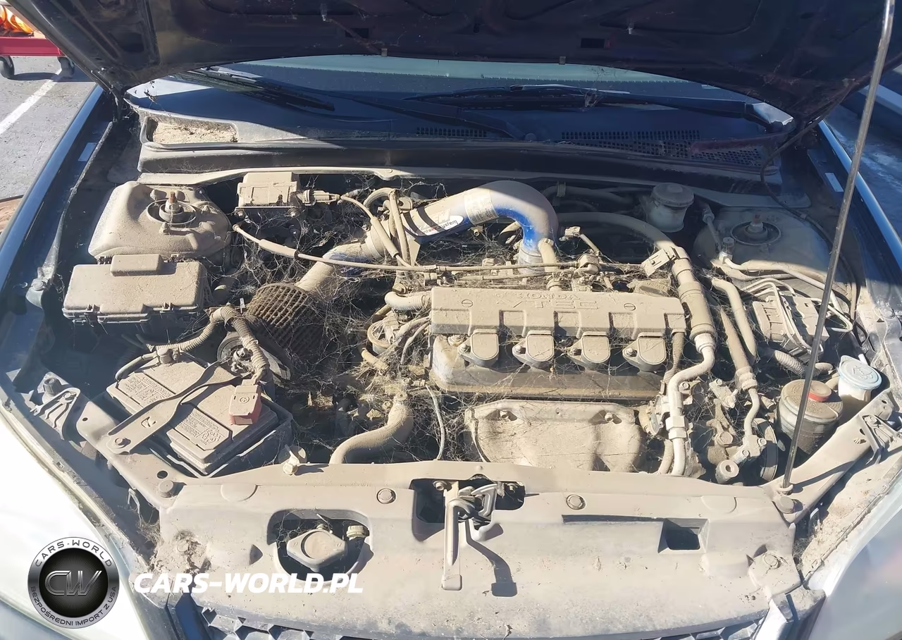 2004 Honda Civic Ex VIN:1HGEM22914L024380 - 10
