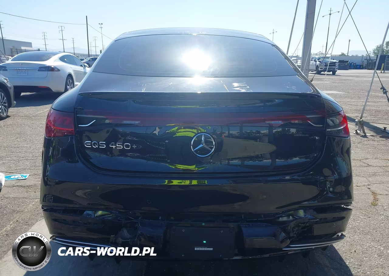 2023 Mercedes-Benz Eqs 450+ VIN:W1KCG2DB7PA031644 - 6