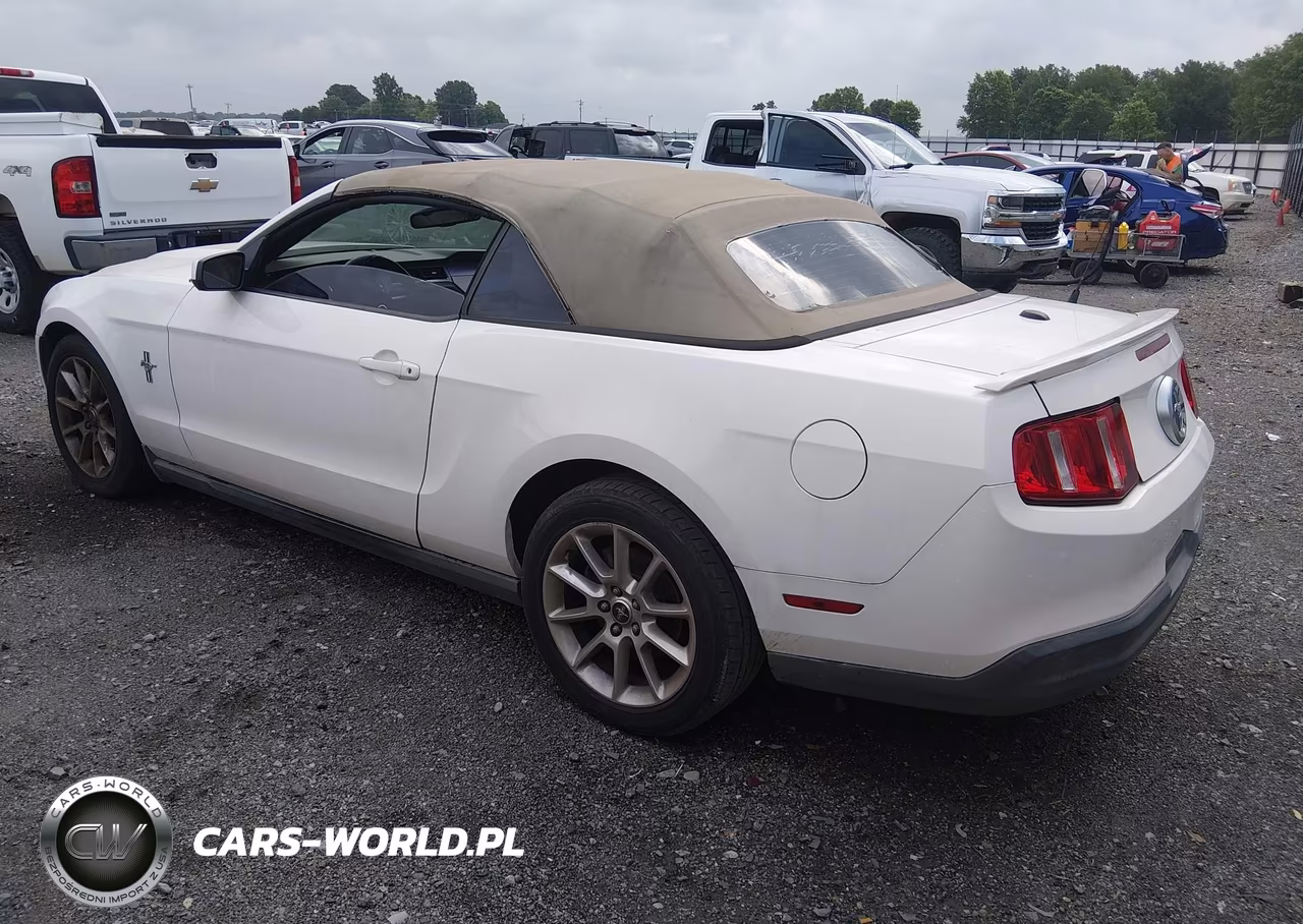2010 Ford Mustang V6 Premium VIN:1ZVBP8EN5A5181704 - 3