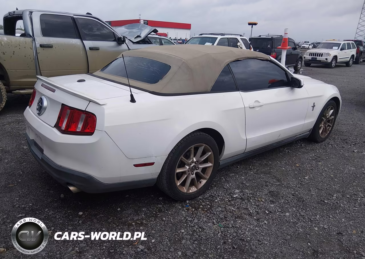 2010 Ford Mustang V6 Premium VIN:1ZVBP8EN5A5181704 - 4
