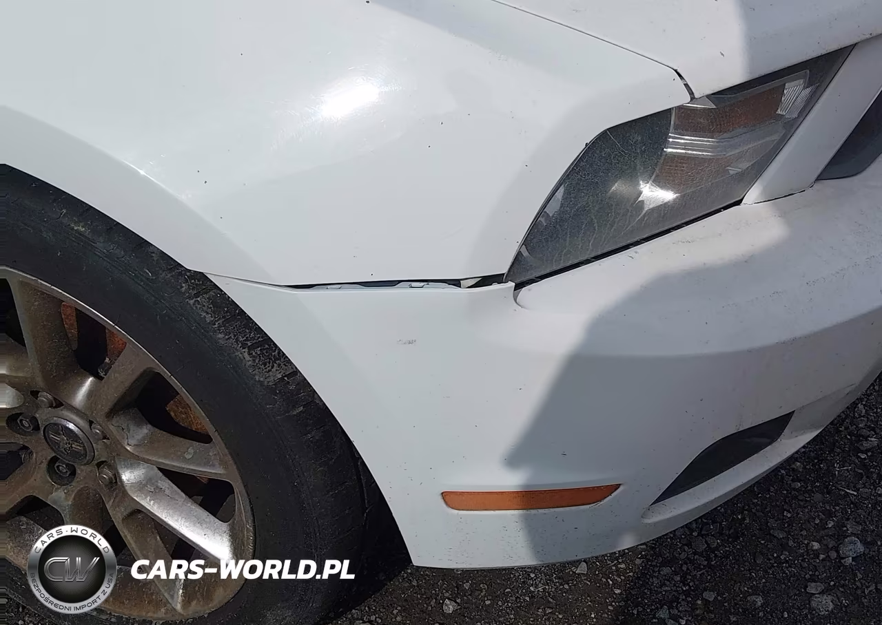 2010 Ford Mustang V6 Premium VIN:1ZVBP8EN5A5181704 - 6