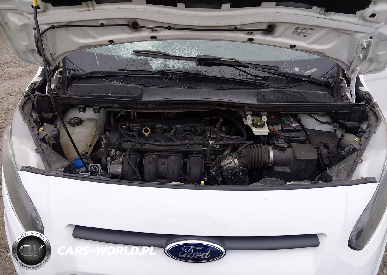 2015 Ford Transit Connect Xlt VIN:NM0GS9F74F1183226 - 10